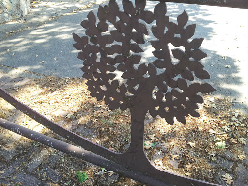 Iron Tree