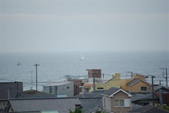 DSC_0077 (Small)