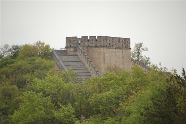 [DSC_0106Medium3.jpg]