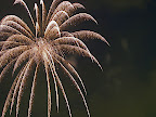 A large feathery firework