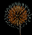 Like a chrysanthemum