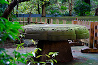 A very heavy table in Shizen Kyoiku Park