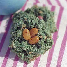 Robin's Egg Nests