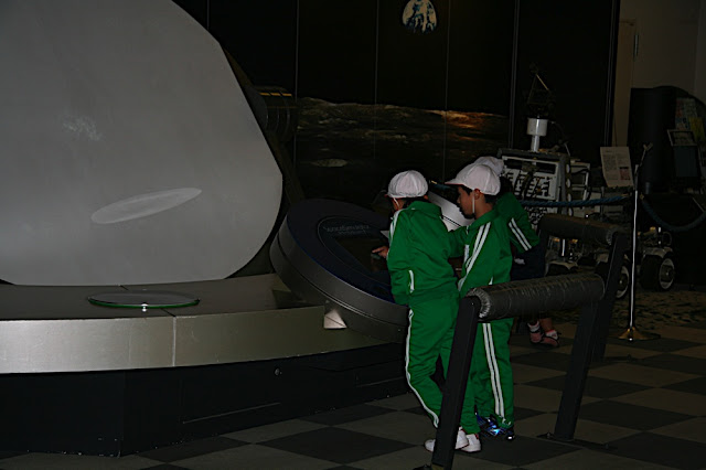 Green Track Suits