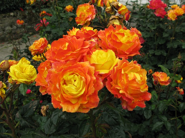 [dublin day 2 029[3].jpg]