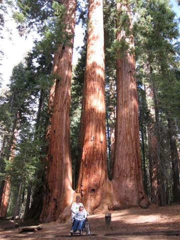 [trail2[9].jpg]