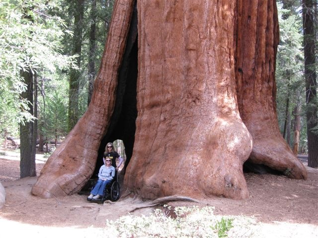 [wendy and kelly[6].jpg]