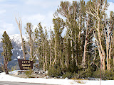 DSC00654.JPG
