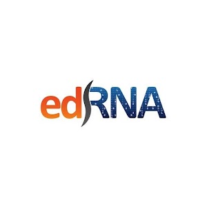 Decode Mitosis.apk 5