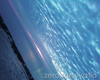 Xero0206