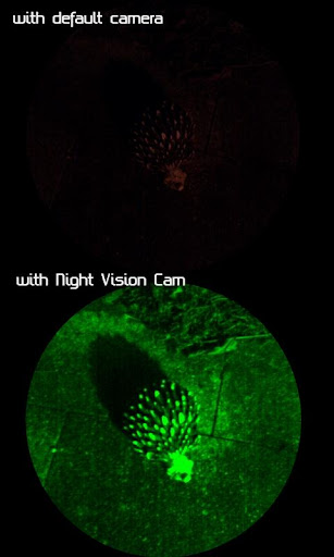 Night Vision Cam Pro