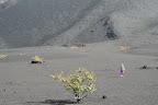 Ascension du volcan
