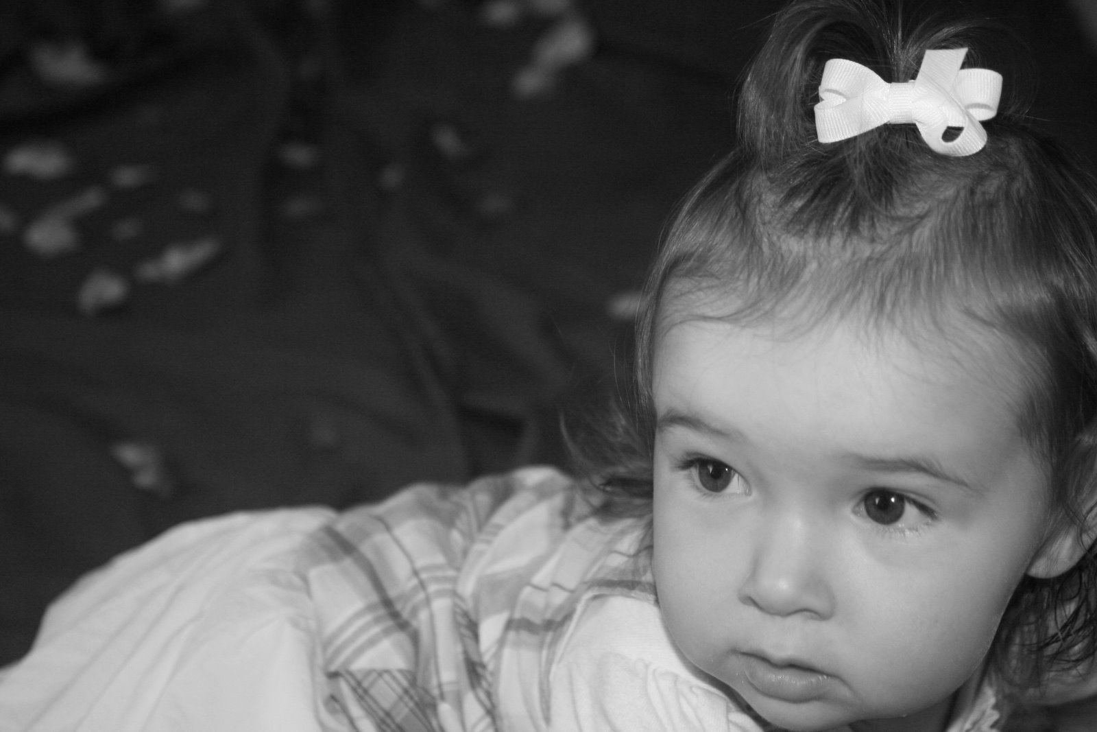 [IMG_1563bw[6].jpg]