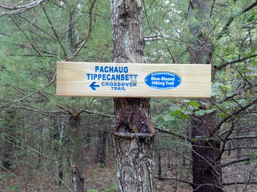 Pachaug Tippecansett Crossover Trail Start