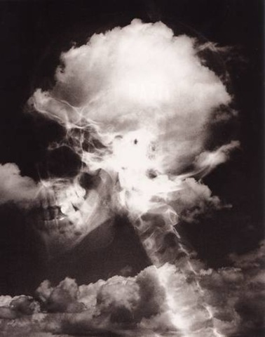 [cm_182chemamadoz5.jpg]