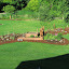 Joannaemmons's Cottage garden