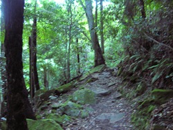 DSCN4859