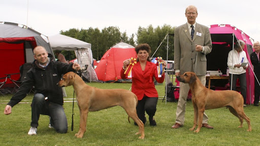Zelda BOB & Buksie BOS. <br />Photo: Netti Gorosch