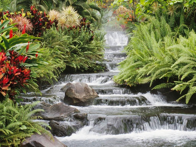 [Waterfall[2].jpg]