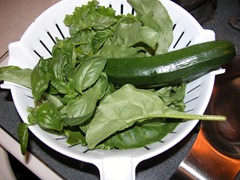 DSCN0003