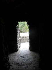 DSCN0035