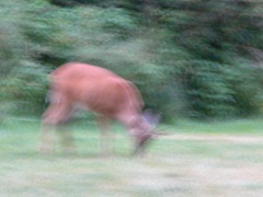 DSCN0030