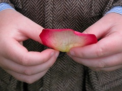 DSCN0148