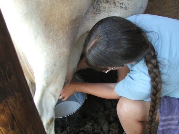 [me milking best[4].jpg]