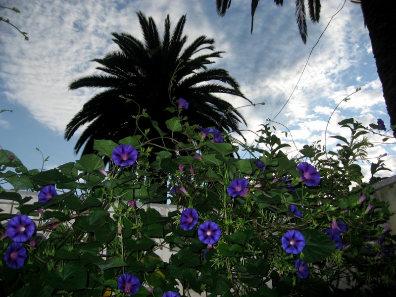 01420%20RAR%20VI%2028SEP%20VIOLETA%20%5B800x600%5D.jpg