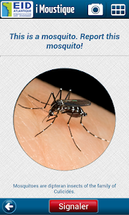 How to install I Moustique 1.09 unlimited apk for pc