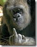 The_Finger