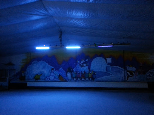 Ice Rink Mural