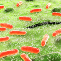 Is it Possible to Gauge Quality by Measuring Levels of Infectious Disease?