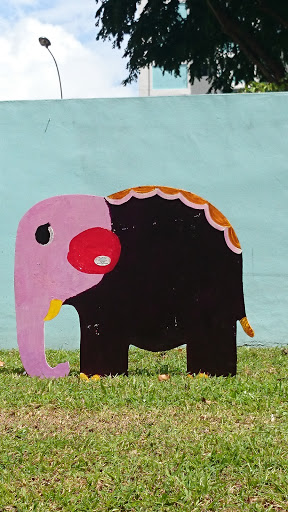 B-pink Elephant