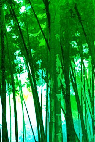 【免費個人化App】Bamboo.ADW Theme-APP點子