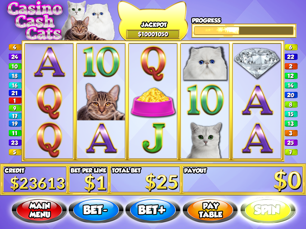 Android application Casino Cash Cats - Slots PAID screenshort