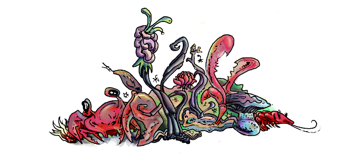  rejected colour scheme party