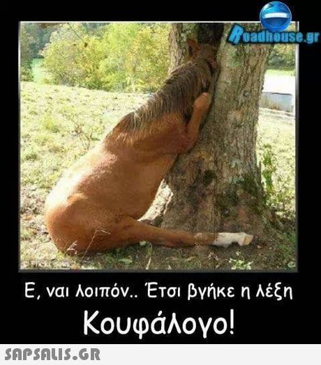 9adhouse.gr Ε, ναι λοιπόν.. Έτσι βγήκε η λέξη κουφάλογο! 