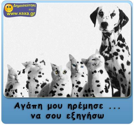 Δημοσιεύτηκε στο www.xaxa.gr Αγάπη μου ηρέμησε να σου εζηγησω