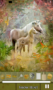 How to download Hidden Object - Animal Mothers 1.0.12 apk for laptop