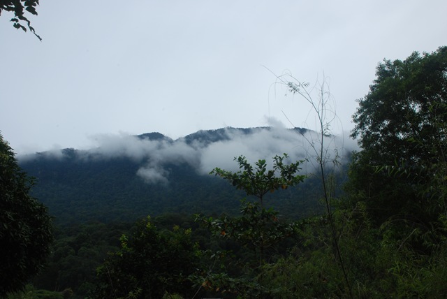 [DSC_04864.jpg]