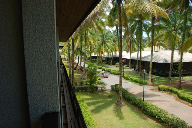 [DSC_03713.jpg]