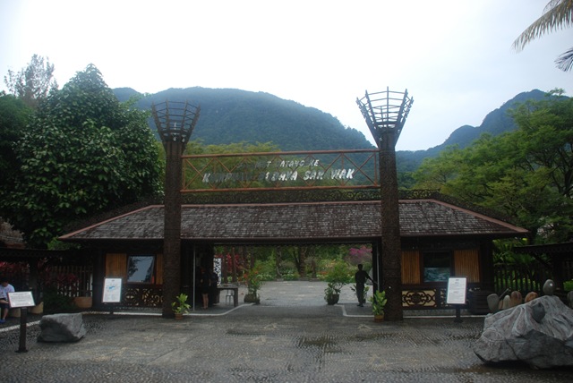 [DSC_04483.jpg]