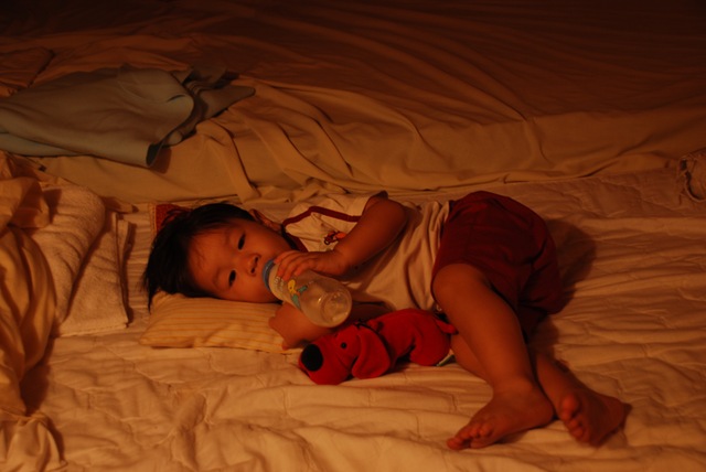 [DSC_04323.jpg]