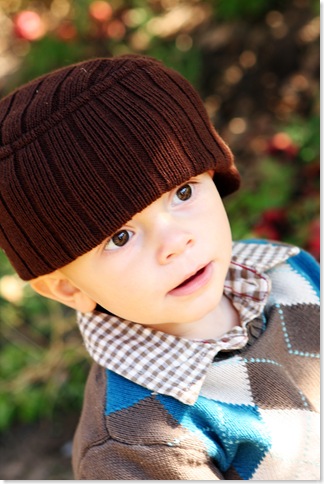 Orchard Pics 260