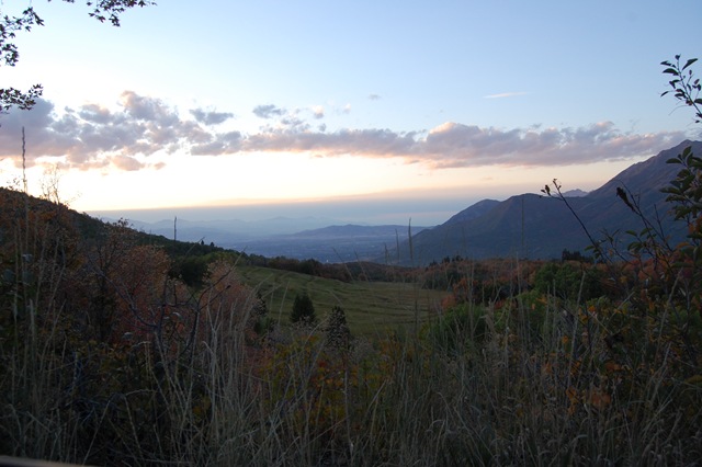 [DSC_0565[10].jpg]