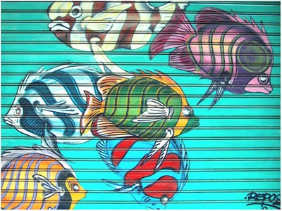 shutter-art (2)
