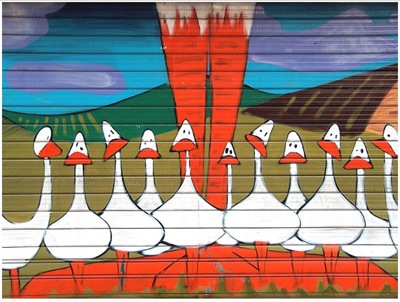 shutter-art (11)