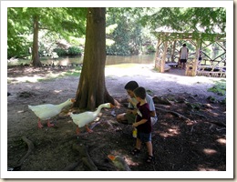 August08-45