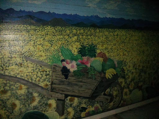 Spring Flower Mural
